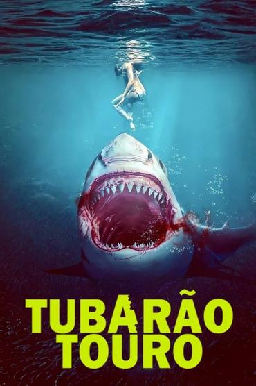 Tubarão Touro